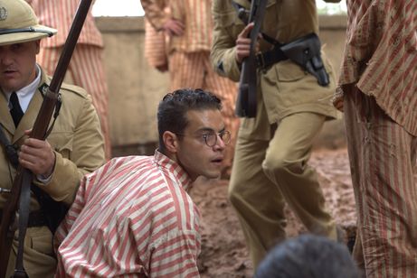 パピヨン 画像8