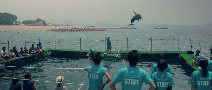 あいが、そいで、こい 画像5