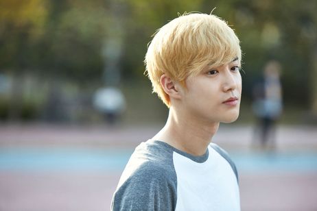 飛べない鳥と優しいキツネ 画像2