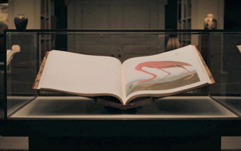 アメリカン・アニマルズ 画像7