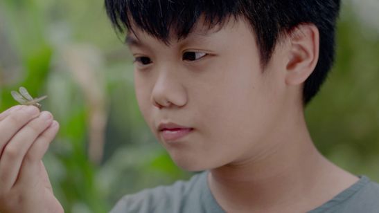 ベトナムを懐(おも)う 画像4