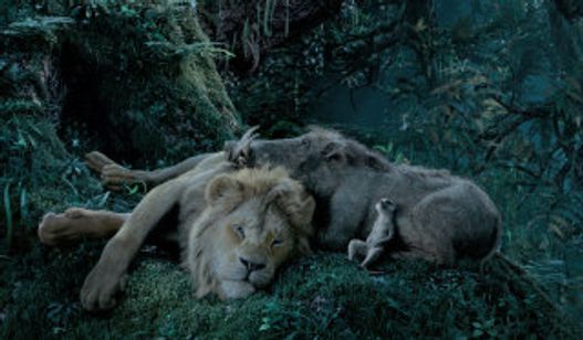 ライオン・キング 画像3