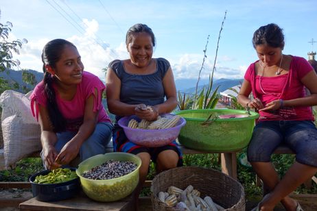 シード ~生命の糧~ 画像2