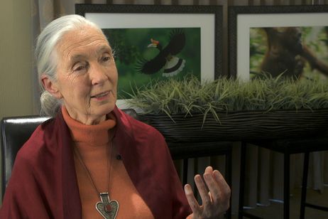 シード ~生命の糧~ 画像6