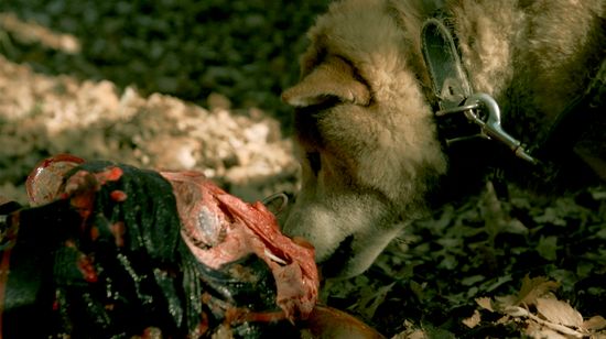 積むさおり 画像8