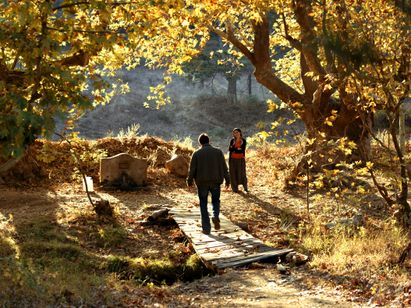 読まれなかった小説 画像2