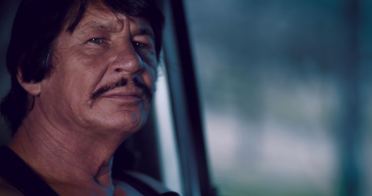 野獣処刑人 ザ・ブロンソン 画像4