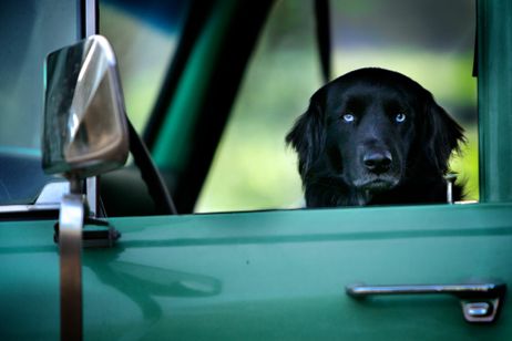 ビッグ・リトル・ファーム 理想の暮らしのつくり方 画像5