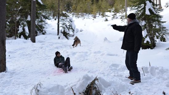 ラスト・バレット 画像4