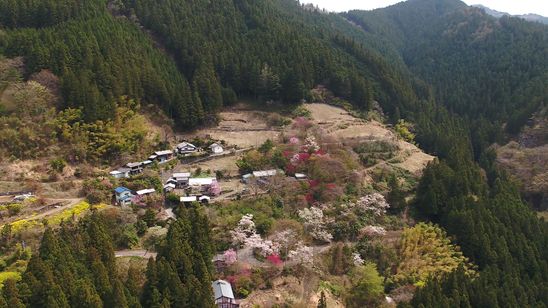 花のあとさき ムツばあさんの歩いた道 画像3