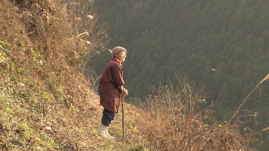 花のあとさき ムツばあさんの歩いた道 画像4