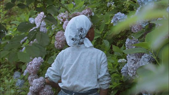 花のあとさき ムツばあさんの歩いた道 画像8