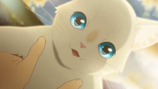 泣きたい私は猫をかぶる 画像3