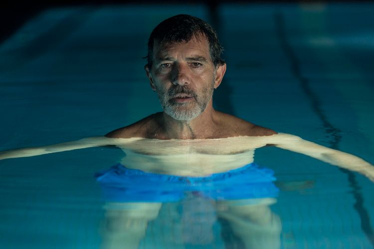 ペイン・アンド・グローリー 画像7