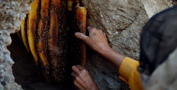 ハニーランド 永遠の谷 画像5