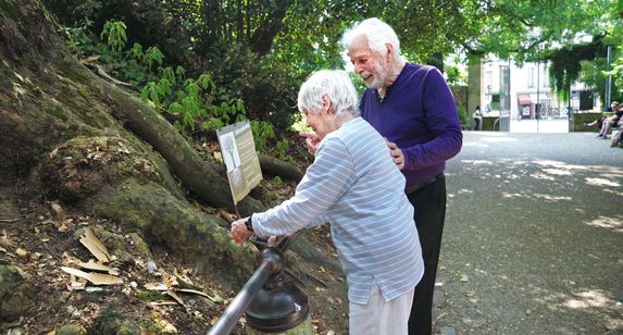 ホドロフスキーのサイコマジック 画像7