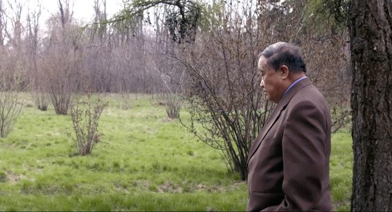 さらばわが愛、北朝鮮 画像5