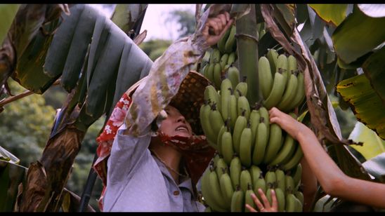 バナナパラダイス 画像6