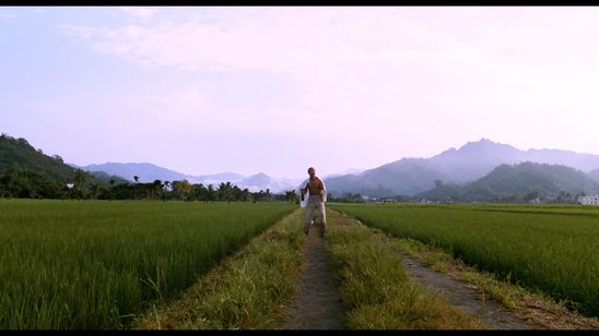 バナナパラダイス 画像7