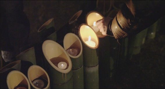 れいこいるか 画像6