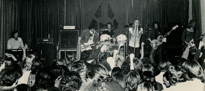 レディオ・バードマン/ディセント・イントゥ・メールストロム 画像4