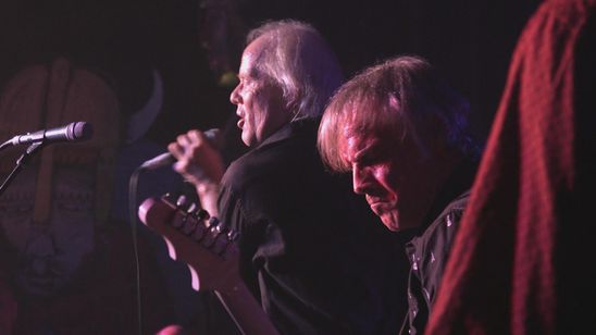 レディオ・バードマン/ディセント・イントゥ・メールストロム 画像6