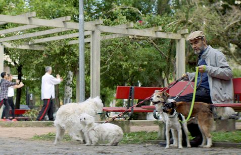 ぶあいそうな手紙 画像7