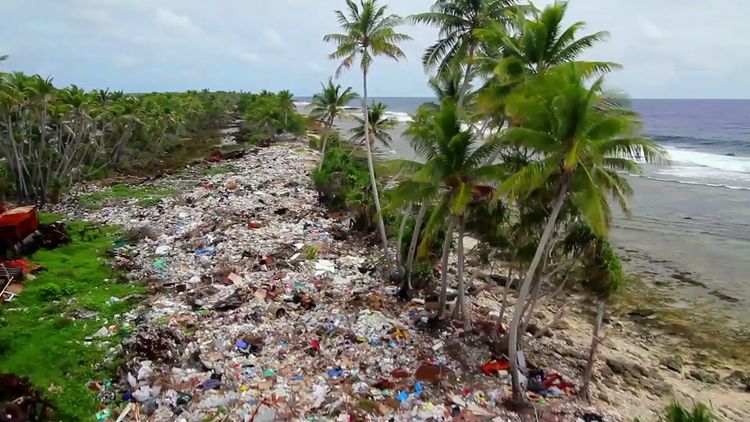 プラスチックの海 画像10