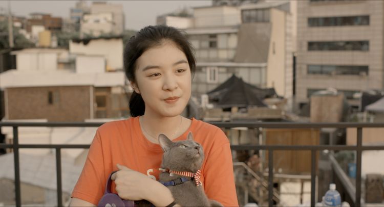 私と猫のサランヘヨ 画像2