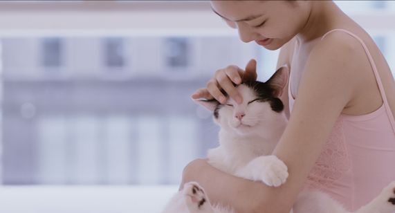 私と猫のサランヘヨ 画像7