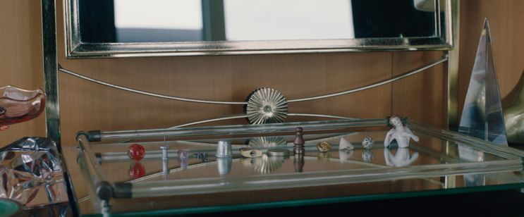 Swallow／スワロウ 画像6