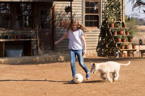 ミアとホワイトライオン 奇跡の1300日 画像5