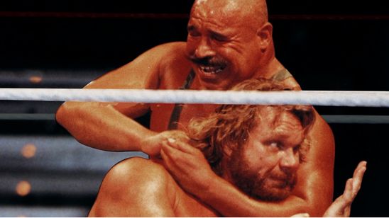 アイアン・シーク 画像4