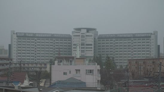 狼をさがして 画像8