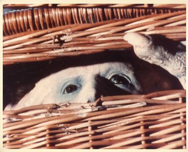 バスケットケース 画像2