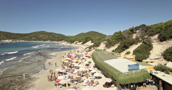 太陽と踊らせて 画像3