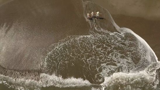 ラプソディ オブ colors 画像8