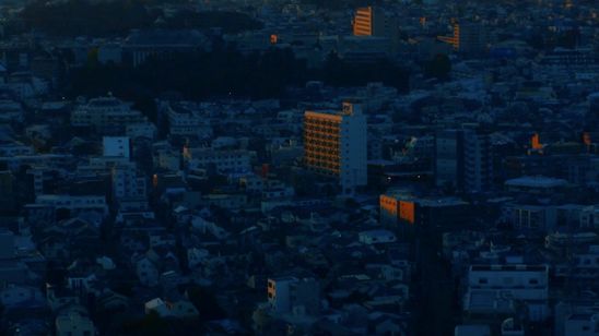 フィア・オブ・ミッシング・アウト 画像8