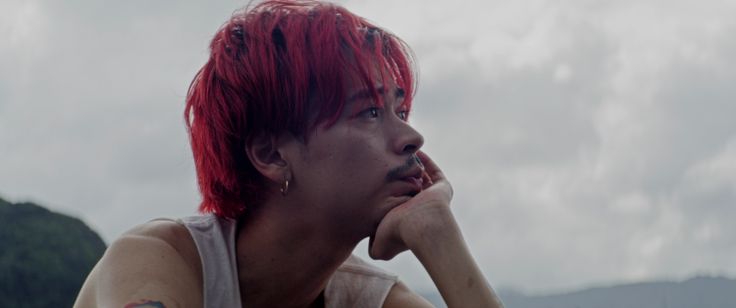 ニワトリ☆フェニックス 画像4