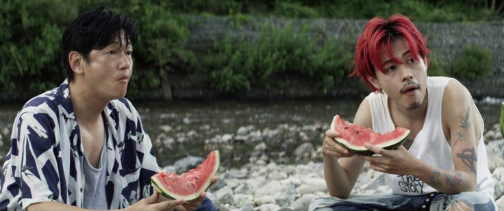 ニワトリ☆フェニックス 画像6