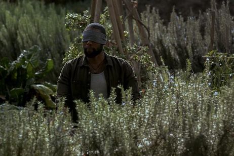 バード・ボックス 画像8