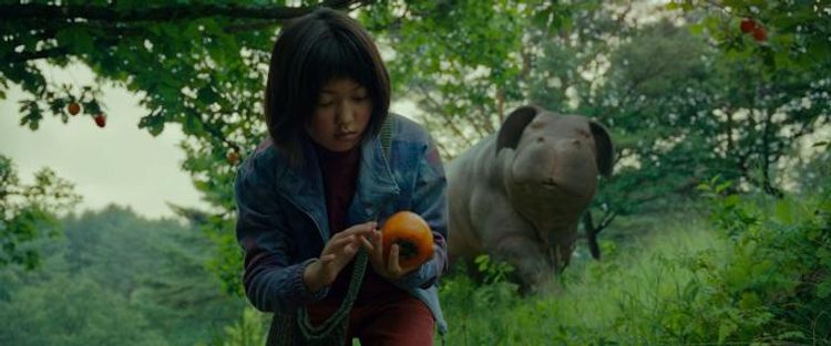 オクジャ/okja 画像45