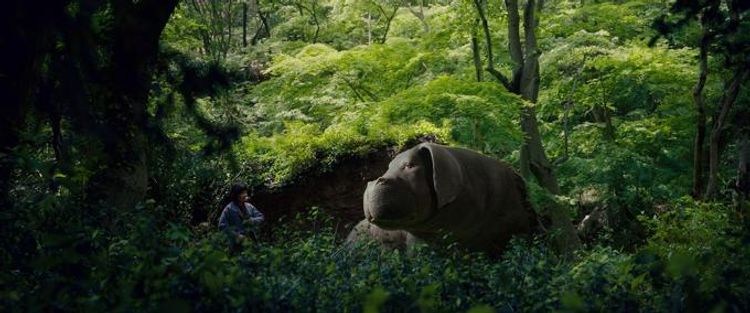 オクジャ/okja 画像50