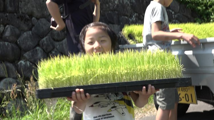 屋根の上に吹く風は 画像12