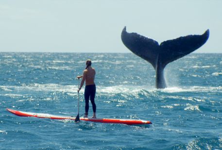シー・イズ・オーシャン 画像2