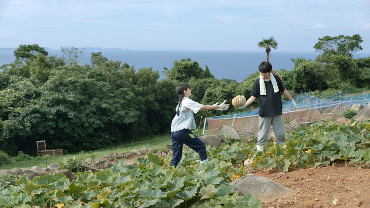 リッちゃん、健ちゃんの夏。 画像5