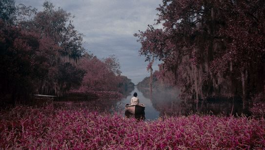 ブルー・バイユー 画像8