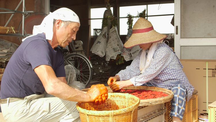 紅花の守人 いのちを染める 画像3