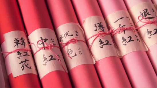 紅花の守人 いのちを染める 画像5