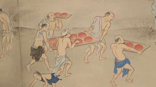 紅花の守人 いのちを染める 画像6